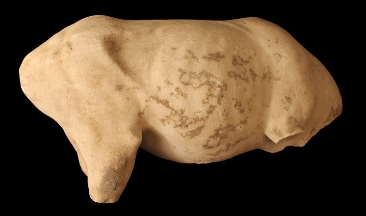 Roman marble bull, right side