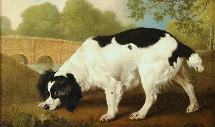 Faddle by George Stubbs (1792), by kind permission of Scawby Hall