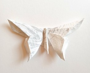 Karen Barnes, Suminagashi Floating Ink Butterfly, Time for Practice Artist Development Bursary 2020